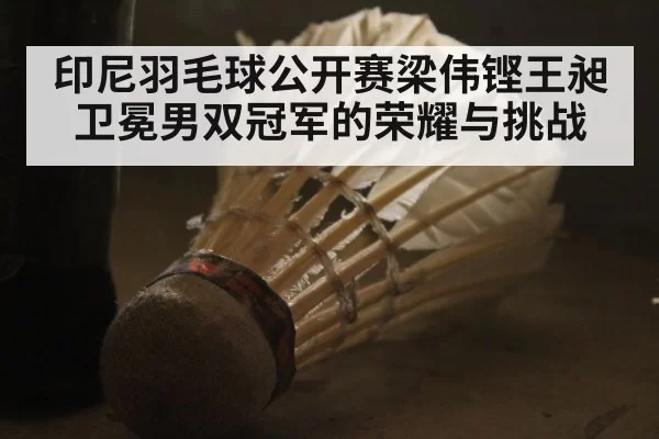 印尼羽毛球公开赛梁伟铿王昶卫冕男双冠军的荣耀与挑战