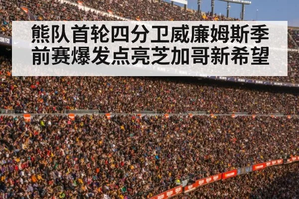 football stadium crowd