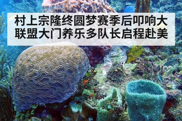 村上宗隆终圆梦赛季后叩响大联盟大门养乐多队长启程赴美
